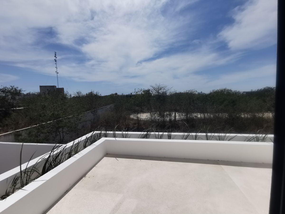 29 de 43
