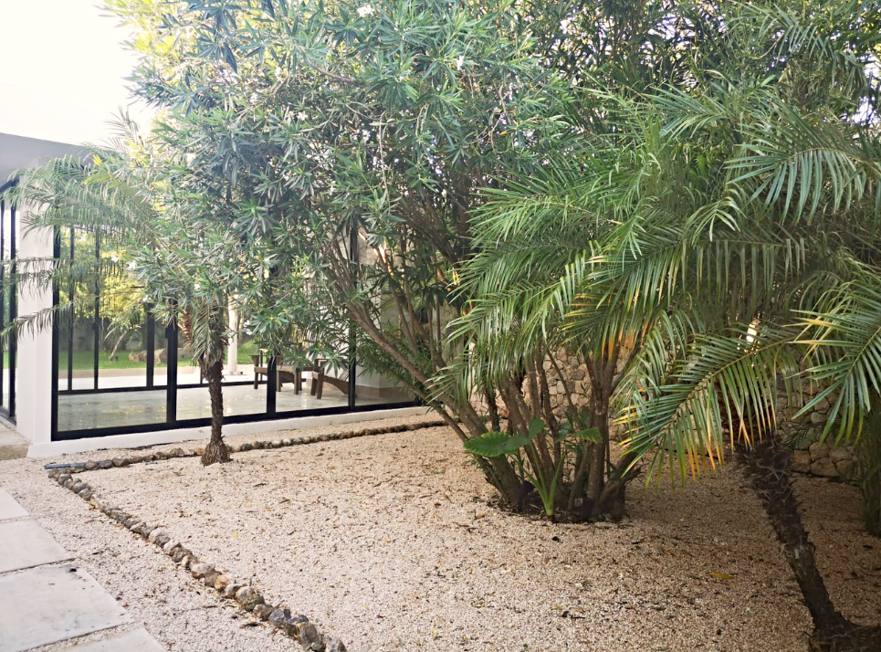 6 de 46: JARDÍN DE ENTRADA