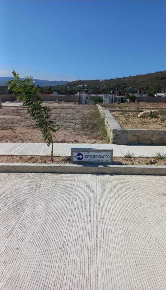 TERRENO EN BOSQUE DE LA TRINIDAD - foto 5
