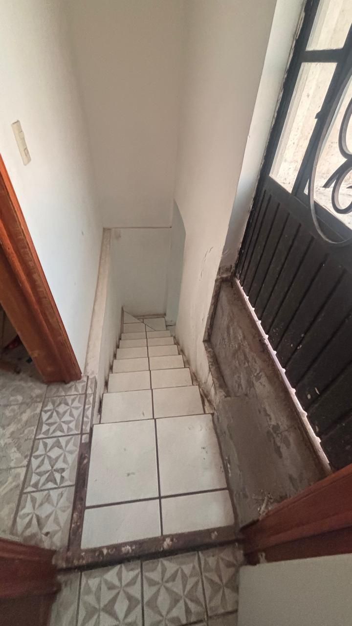 3 de 14