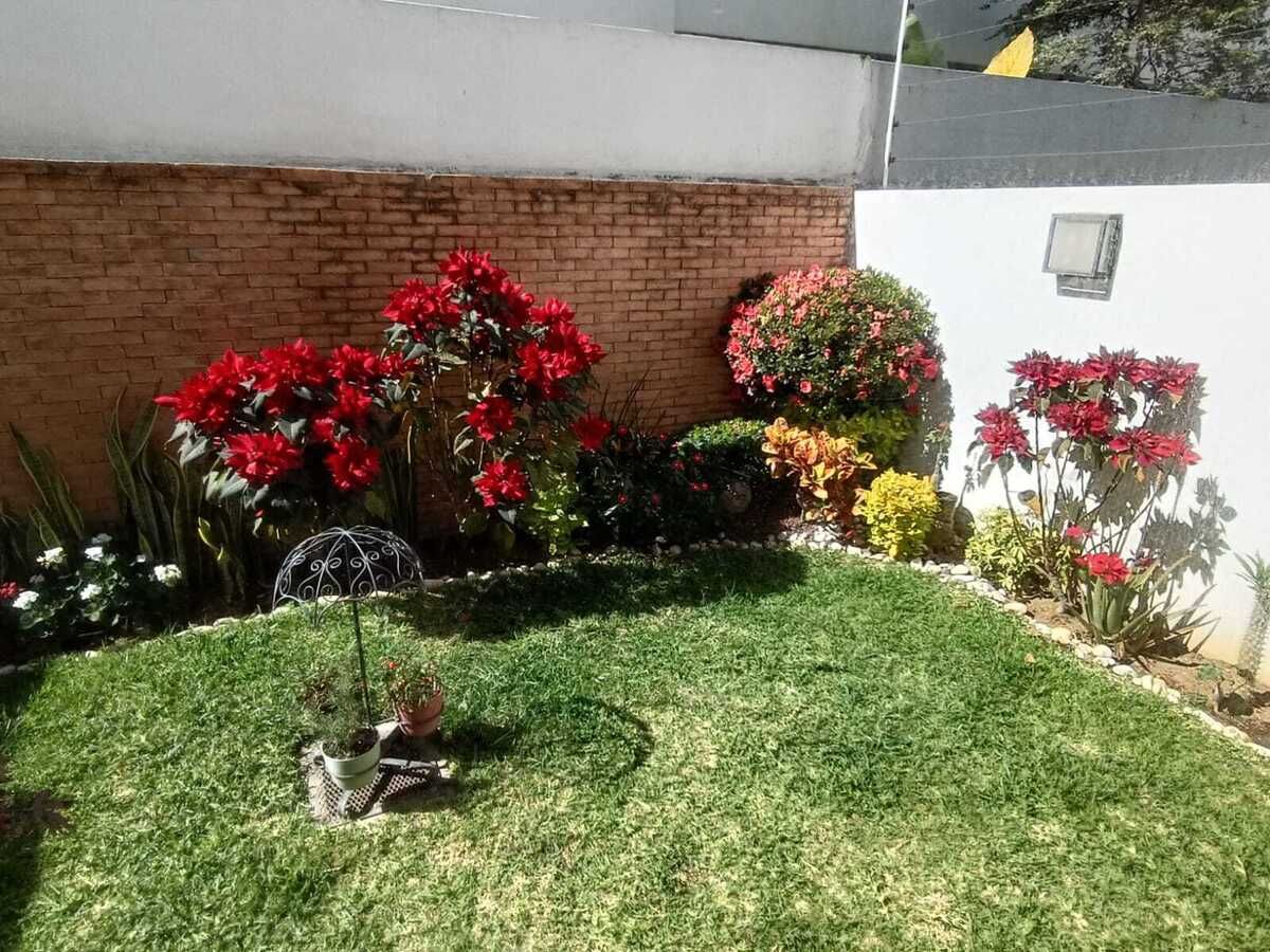 4 de 15: JARDIN