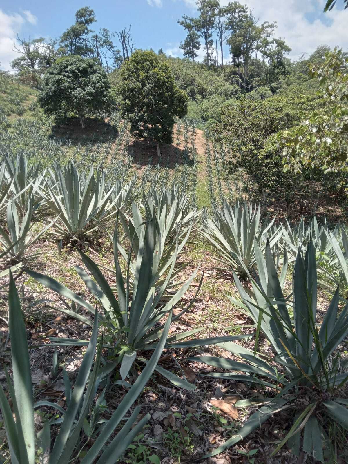 2 de 8