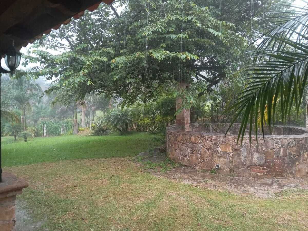 4 de 8