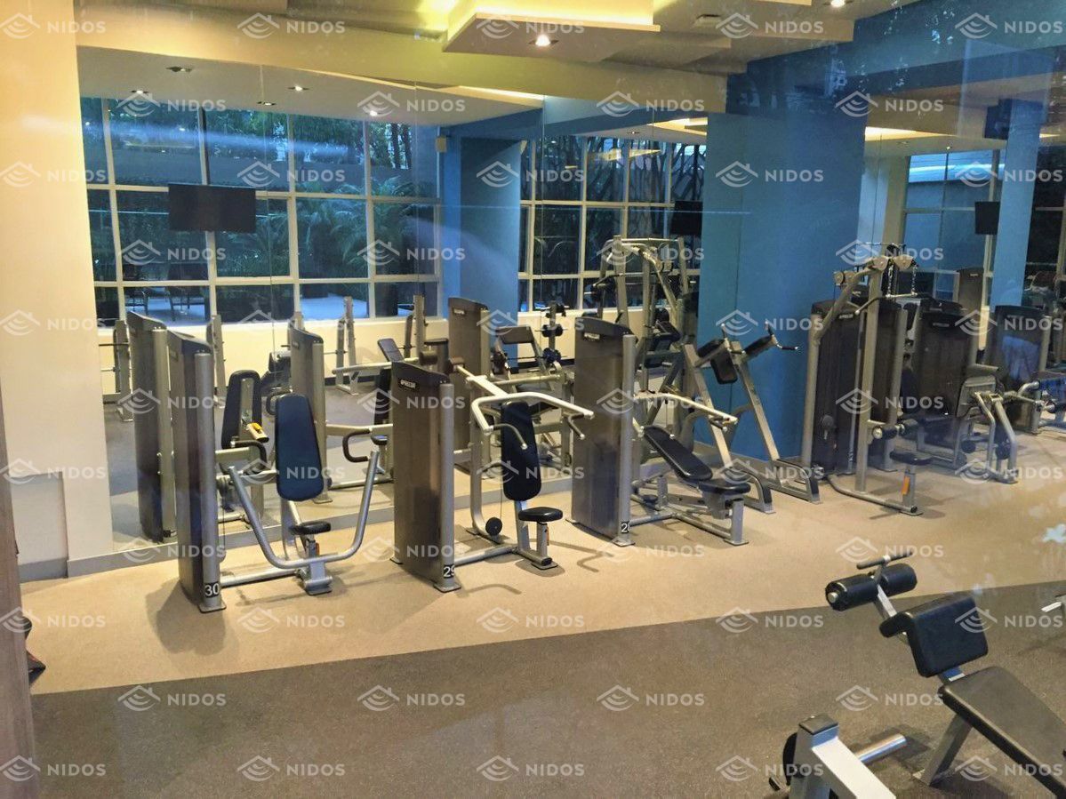 30 de 46: gimnasio