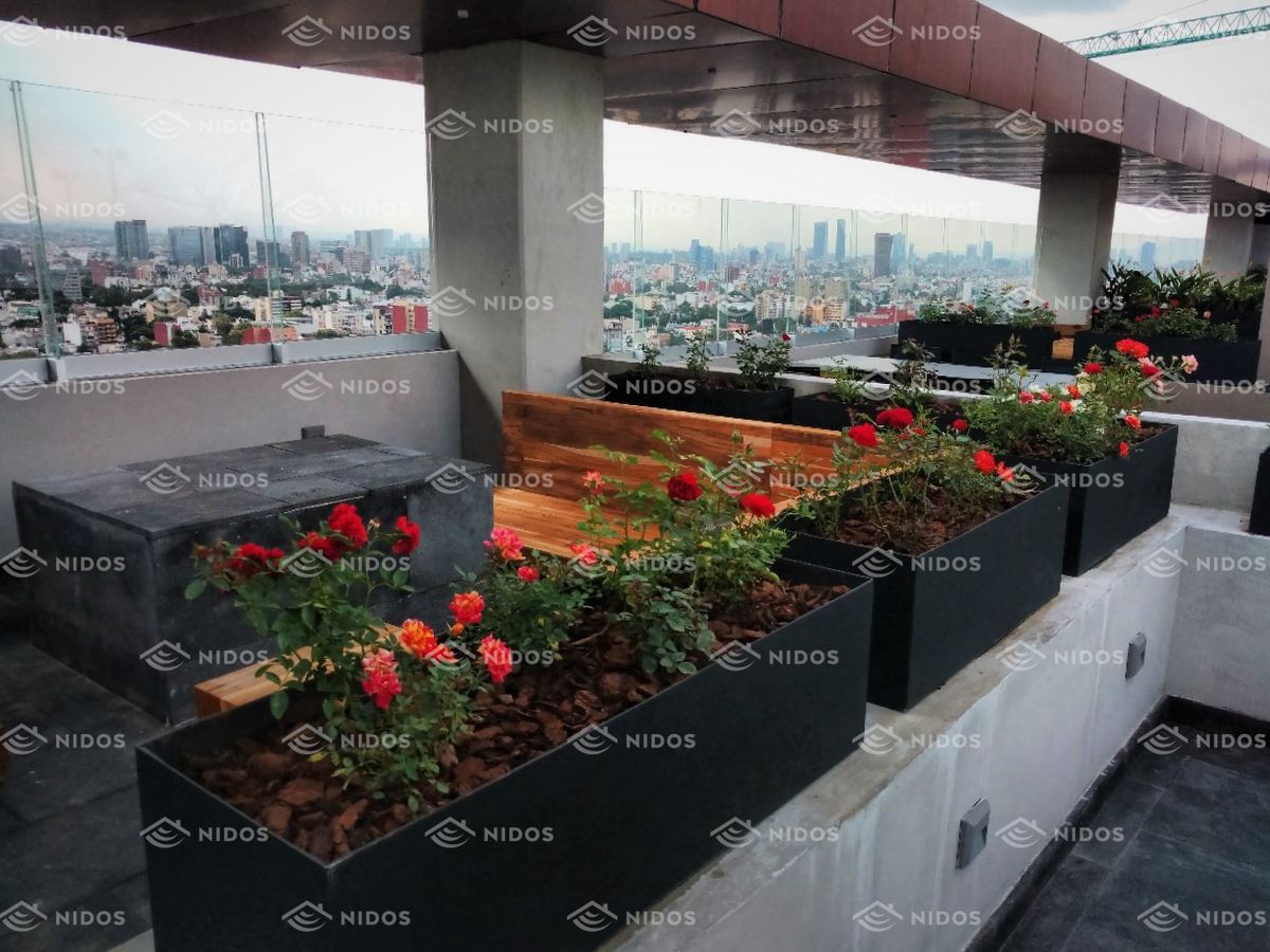 44 de 46: roofgarden