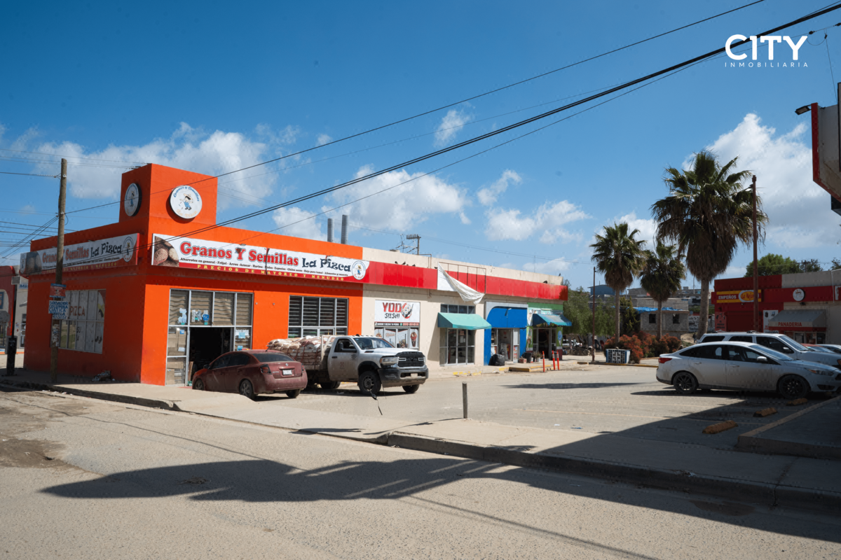 Plaza Comercial en Venta ( Plaza Delicias)