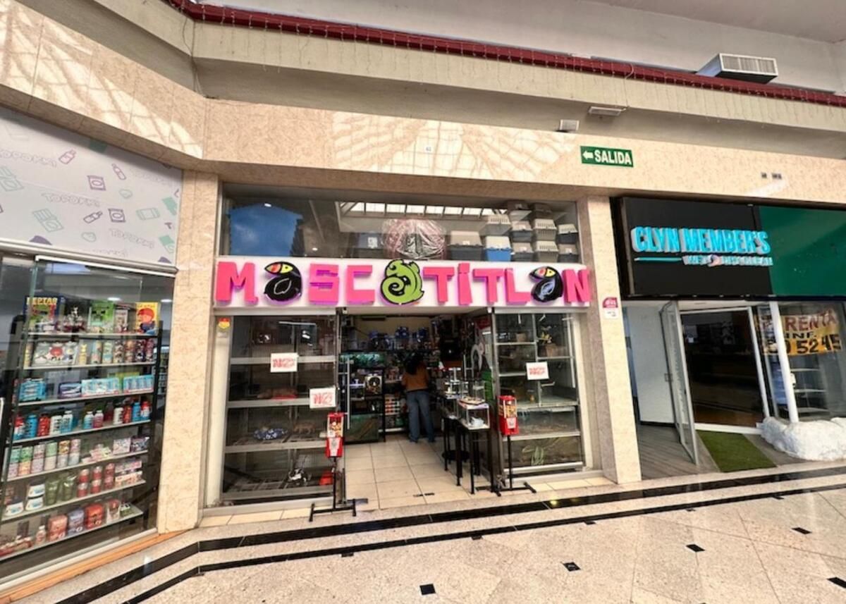 3 de 8
