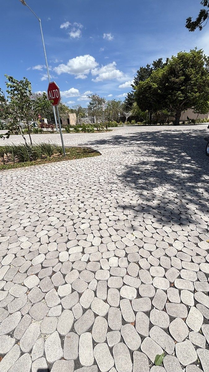 10 de 12: Avenida principal