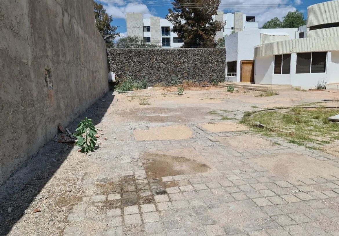 Imagen 6 de 8