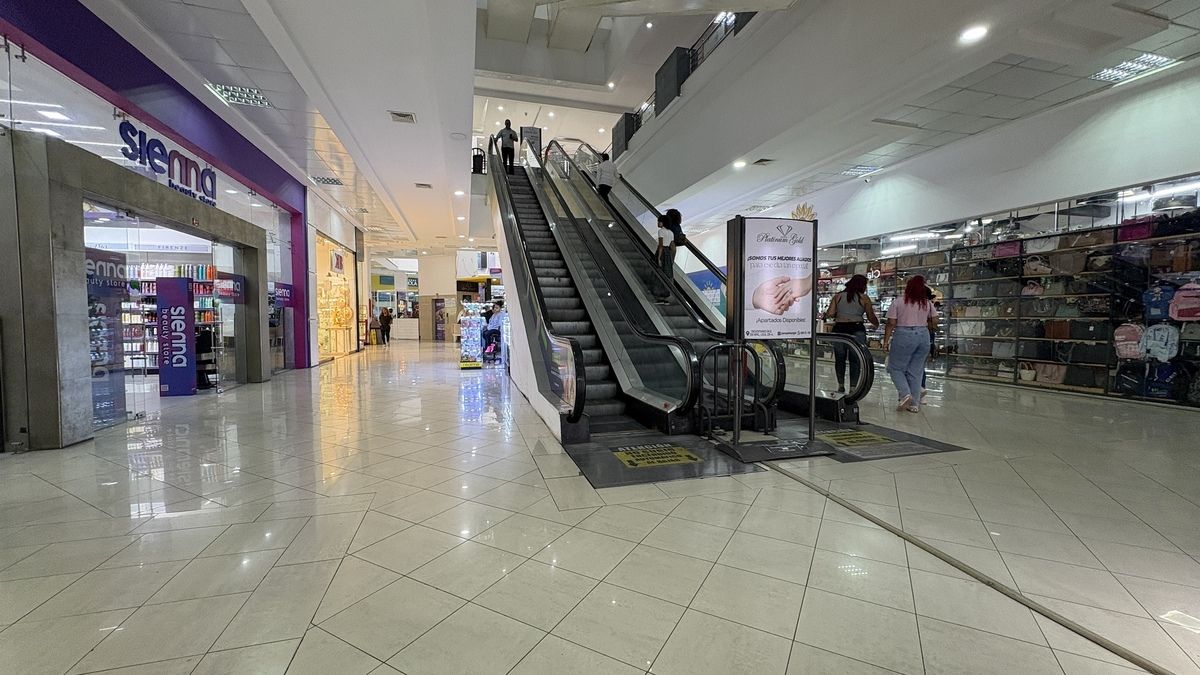 12 de 14: Escaleras eléctricas