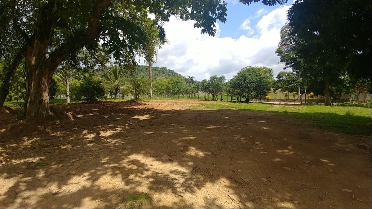 5 de 11