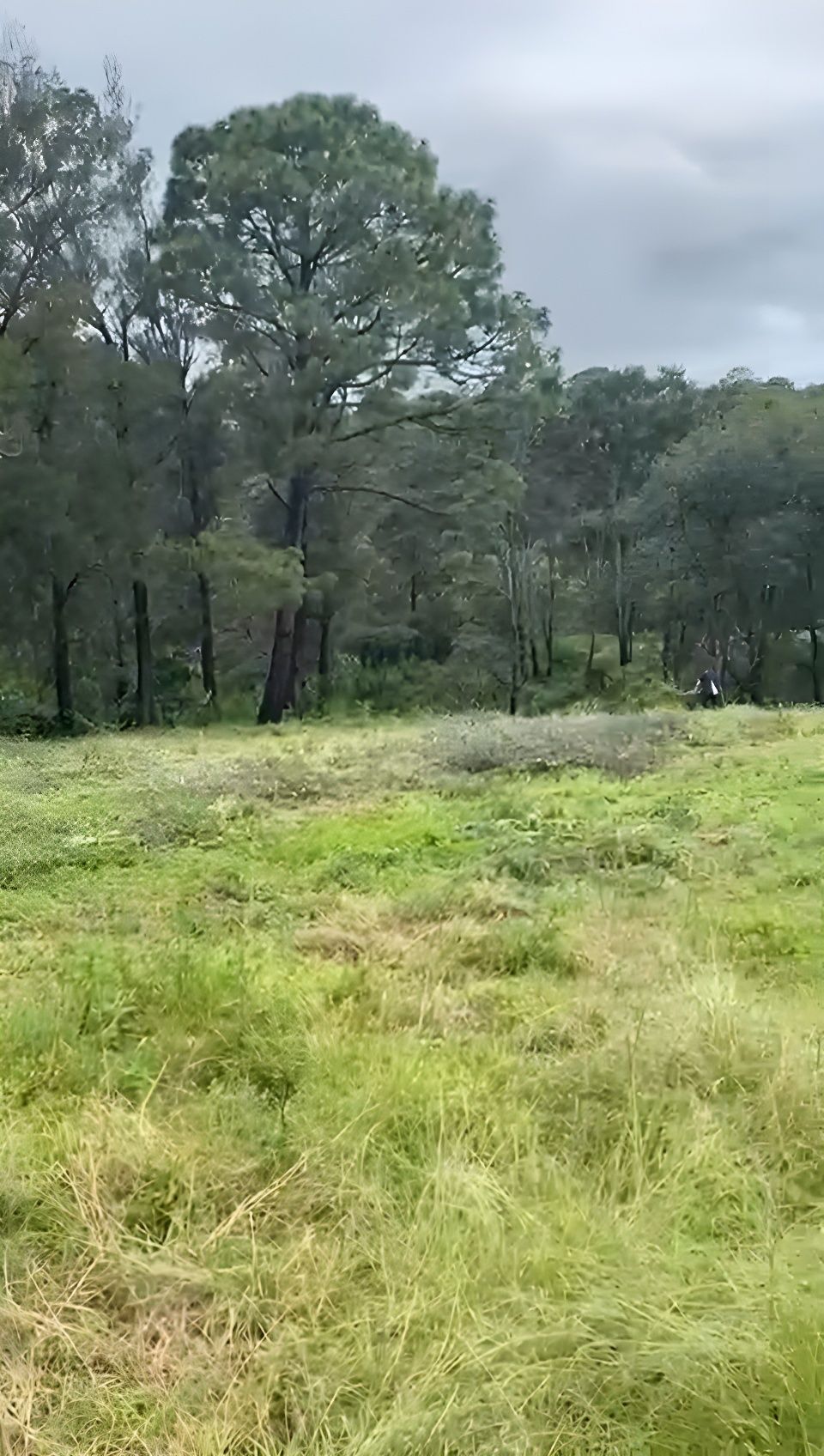 2 de 18