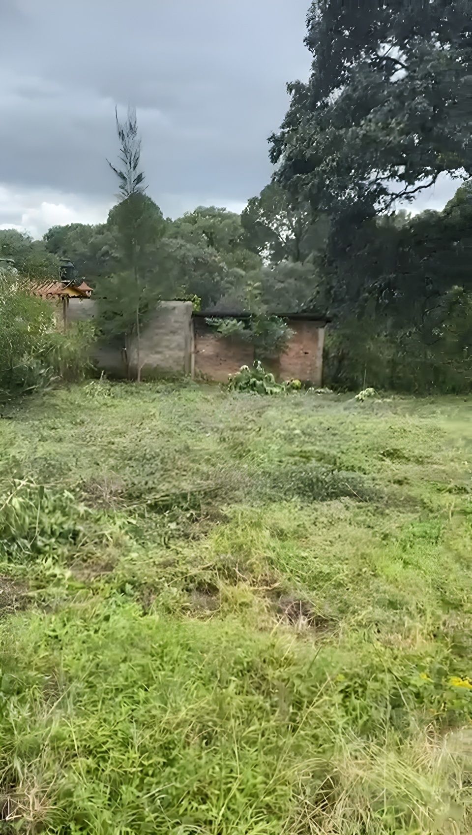 3 de 18