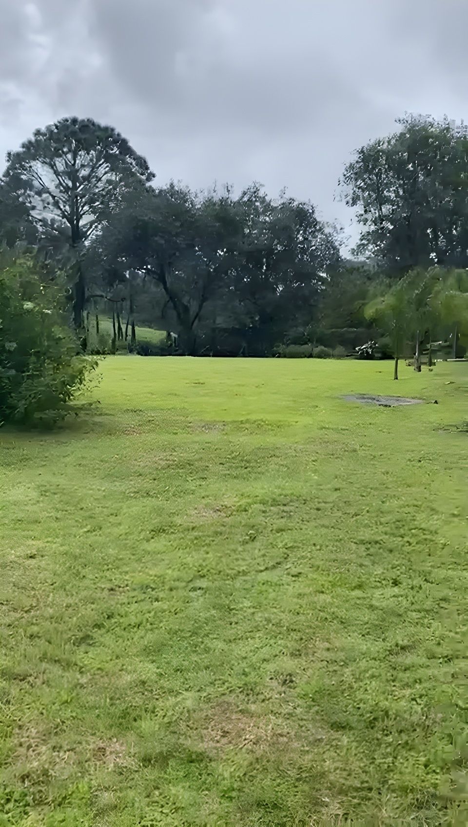 4 de 18