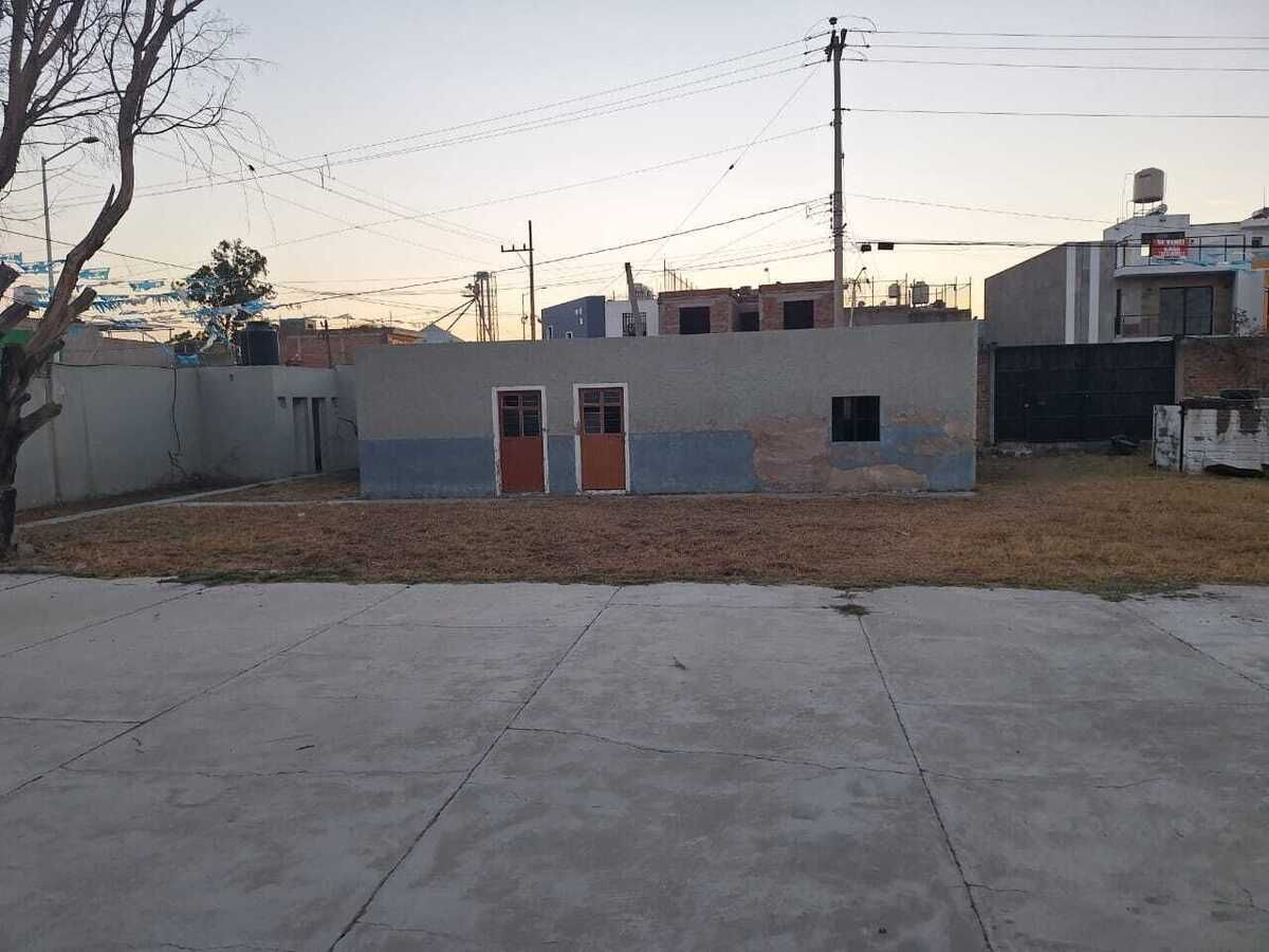 5 de 7