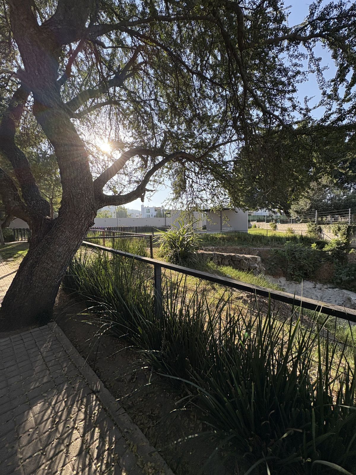 29 of 31
