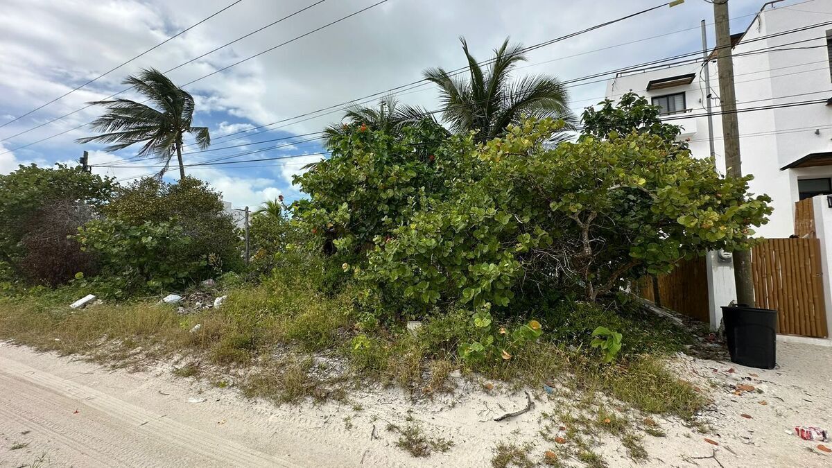 Terreno En Venta Dzemul