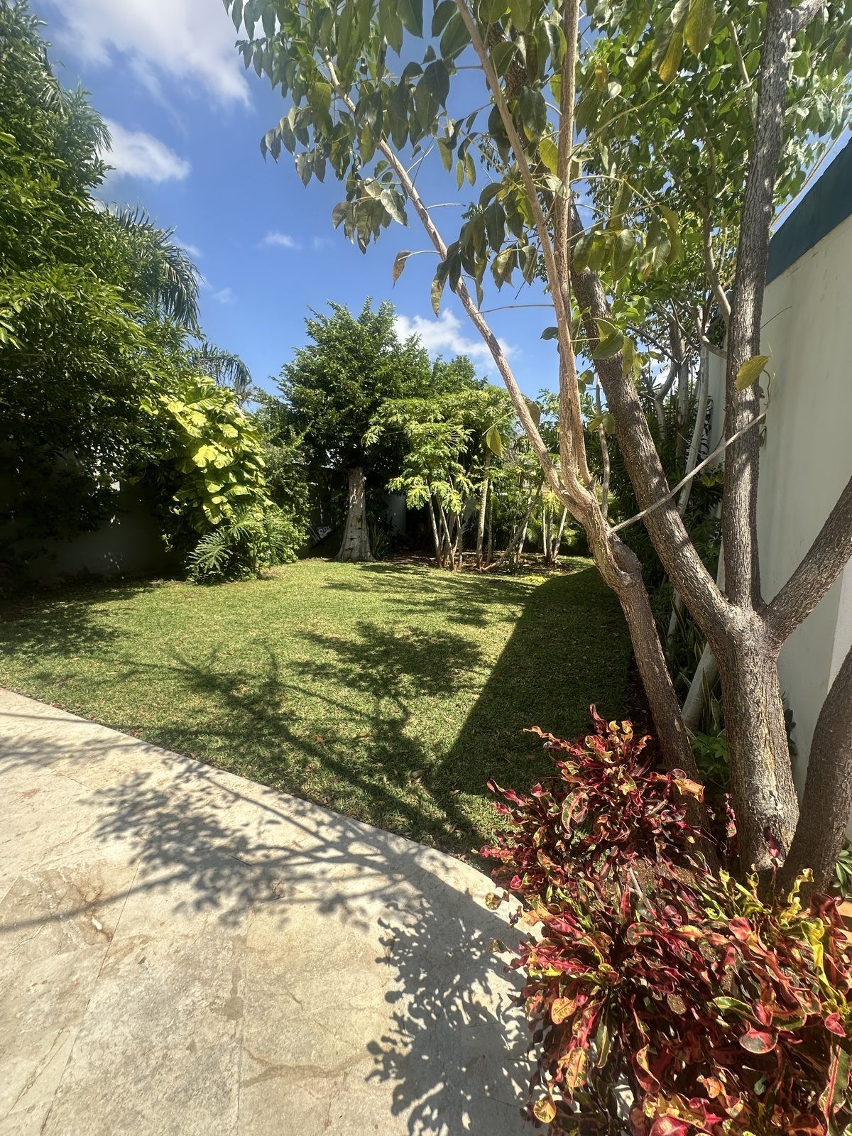 8 de 28