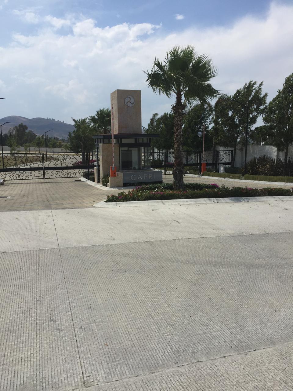 17 de 17