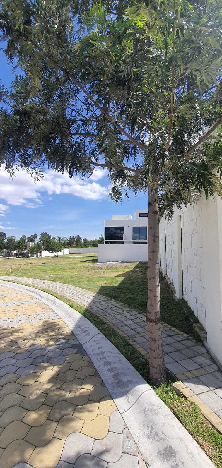 7 de 24