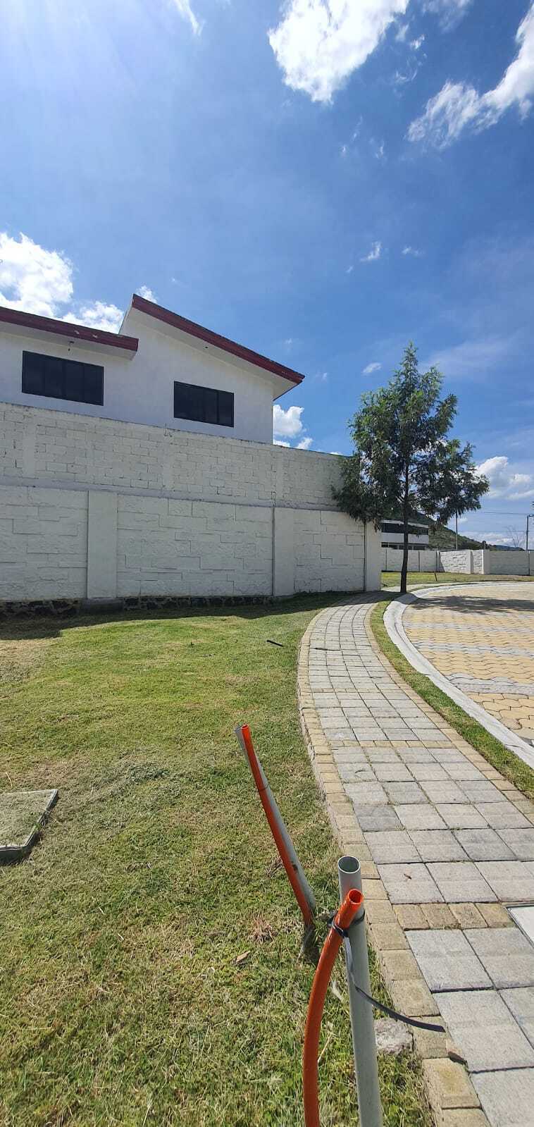 12 de 24
