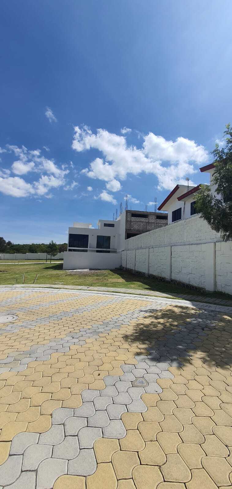 21 de 24