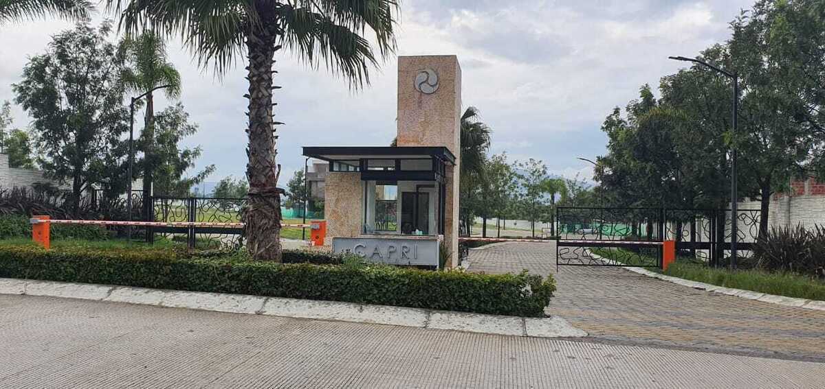 24 de 24