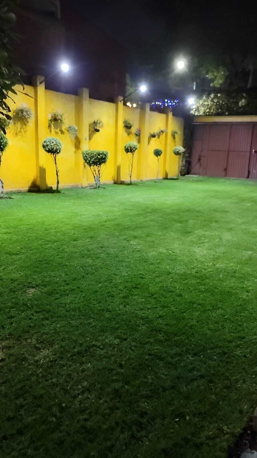 2 de 7