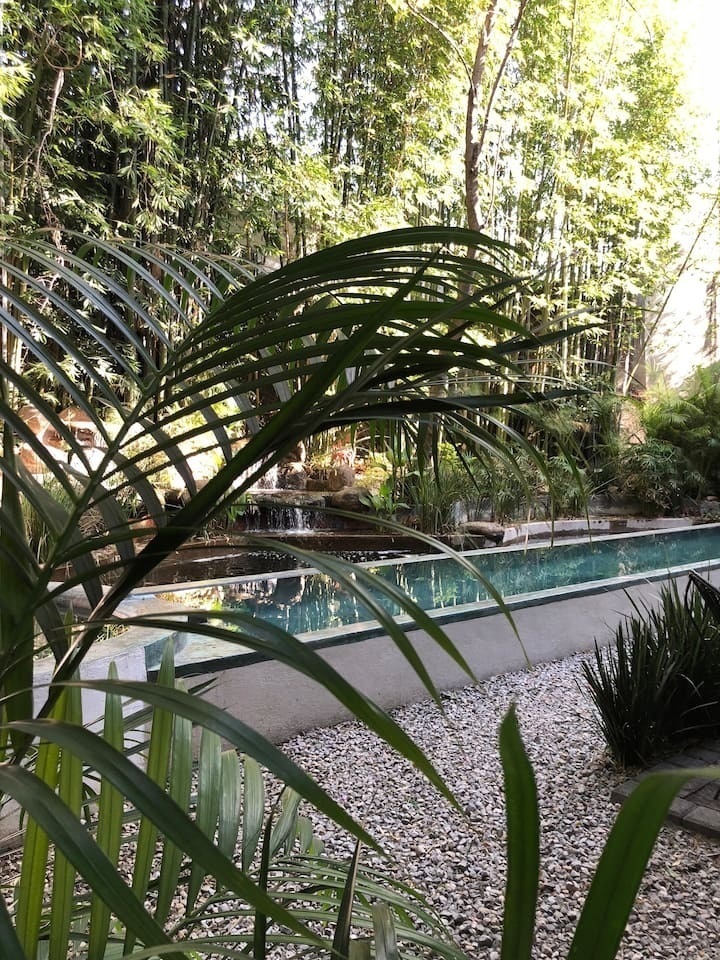 5 de 19