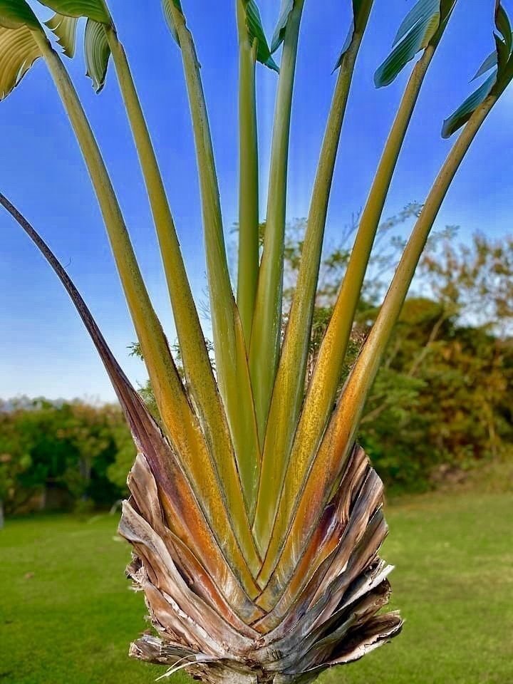 36 de 41