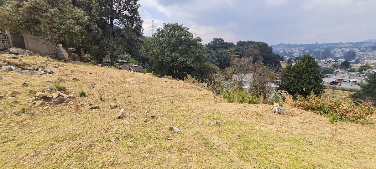 20 de 40