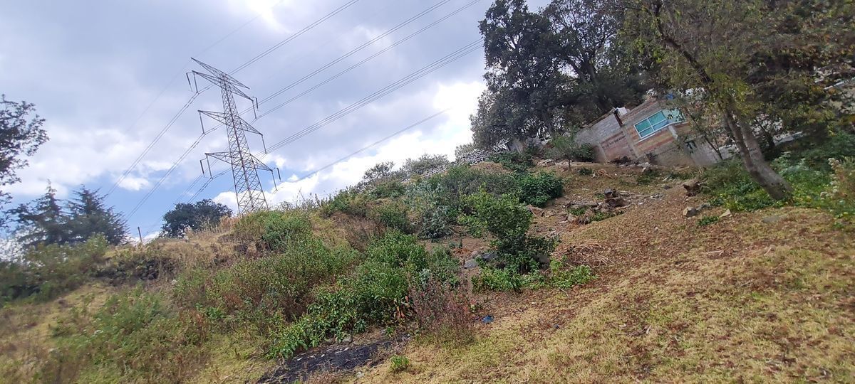 25 de 40