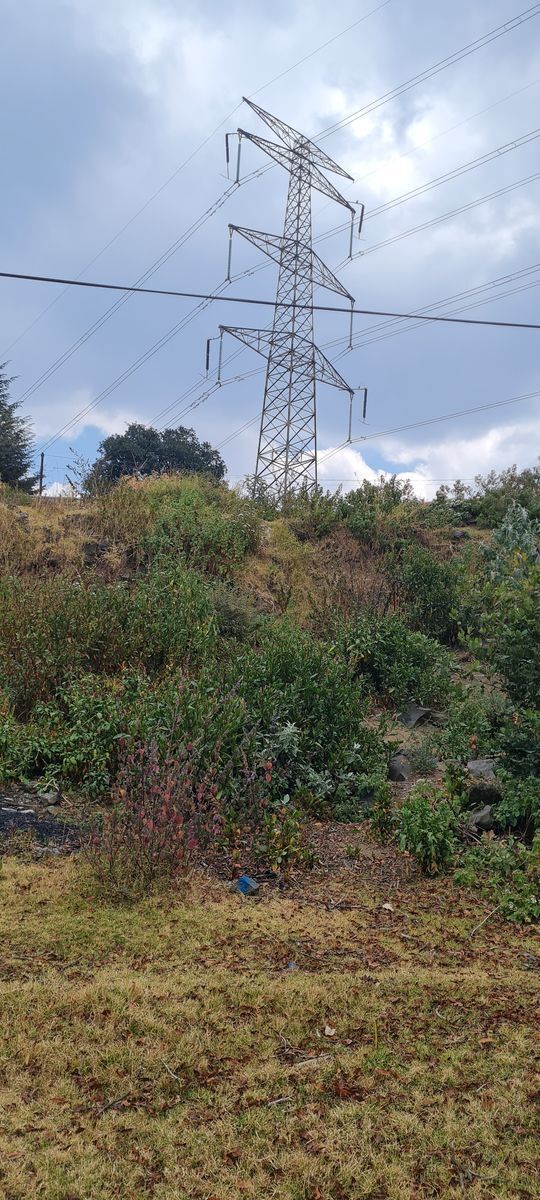 35 de 40