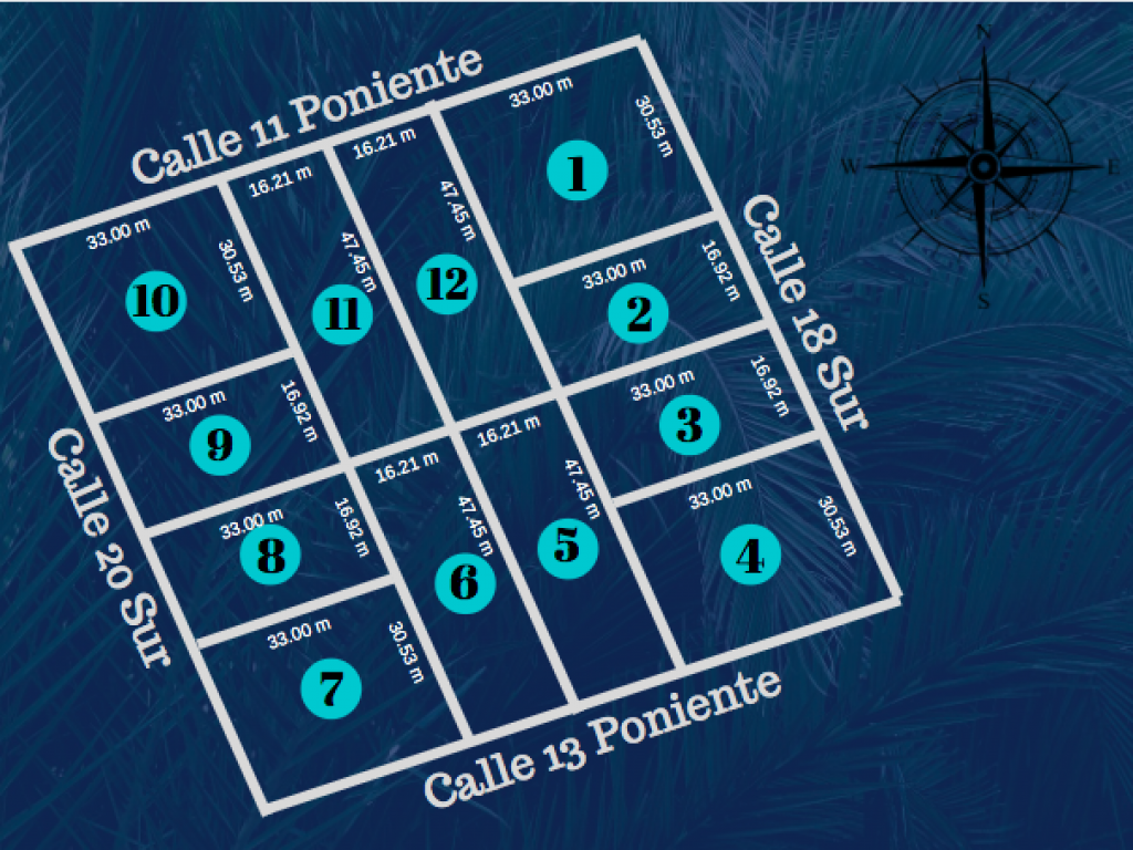 4 de 17