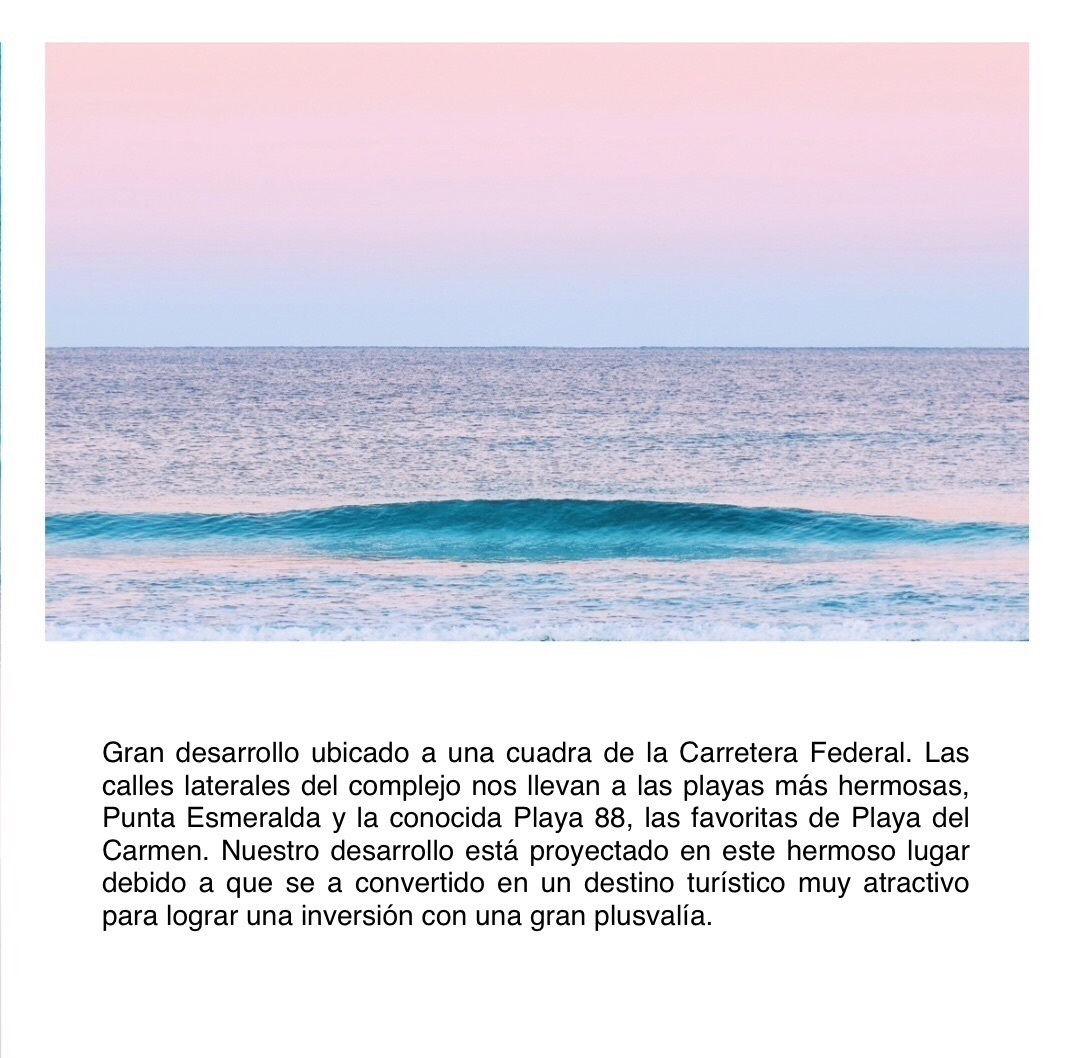 8 de 22
