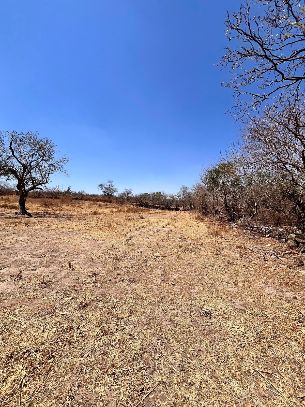 Terreno en Venta – Ideal para Bodega Industrial en Tonalá, Jalisco