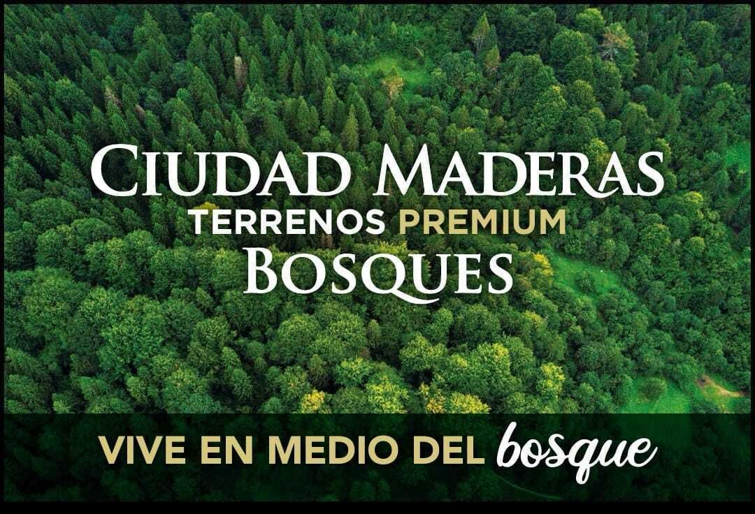 1 de 12