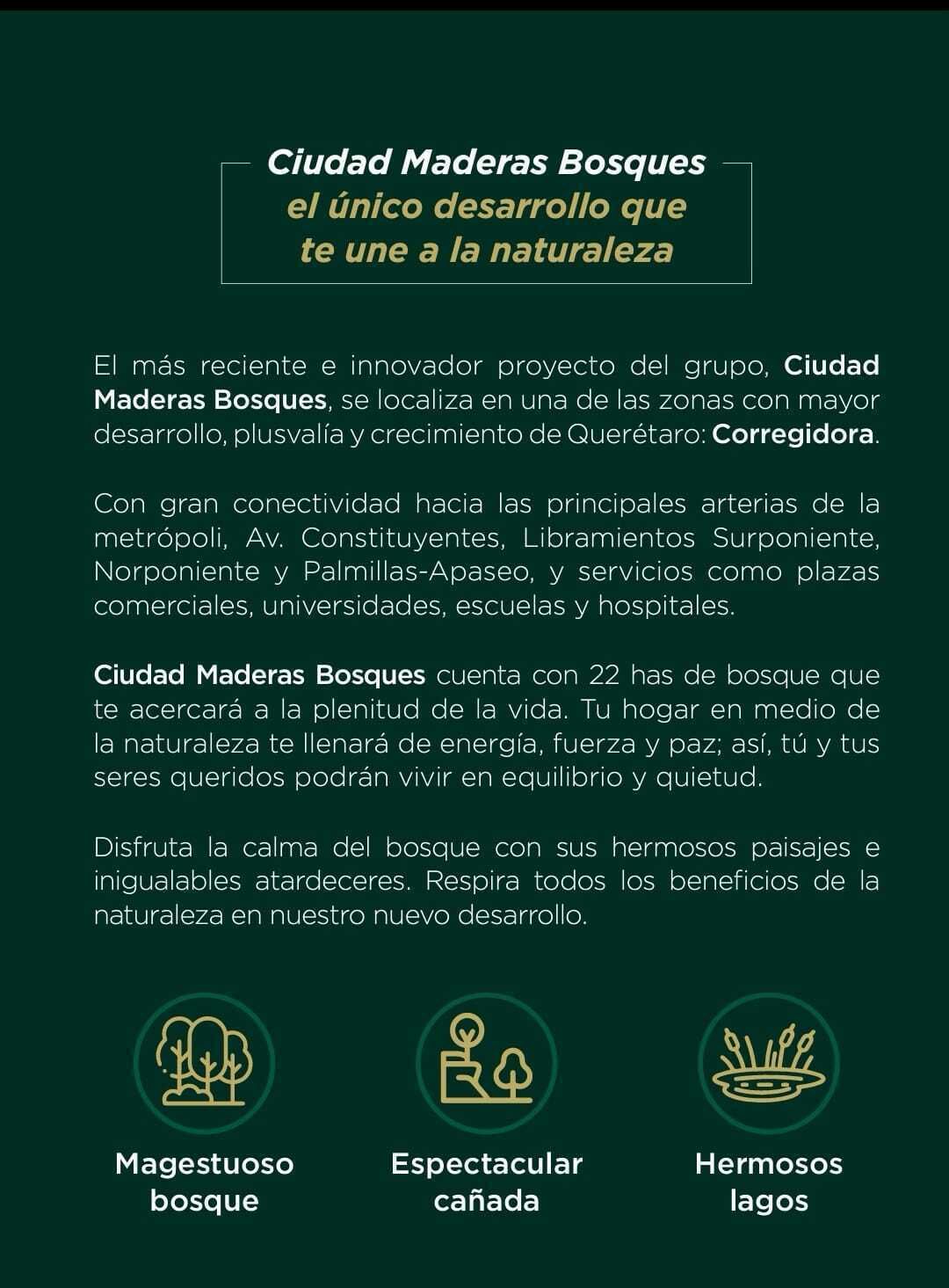 4 de 12