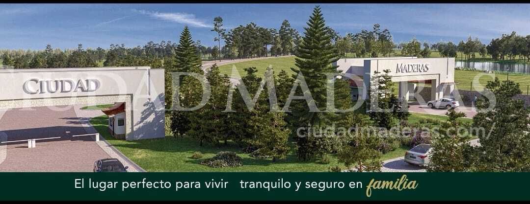 5 de 12