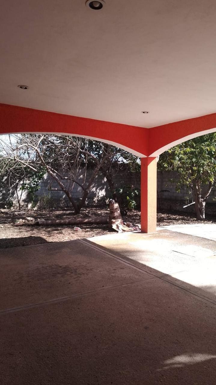 4 de 14