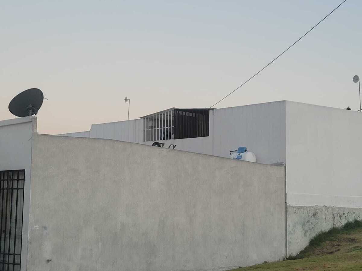 3 de 10