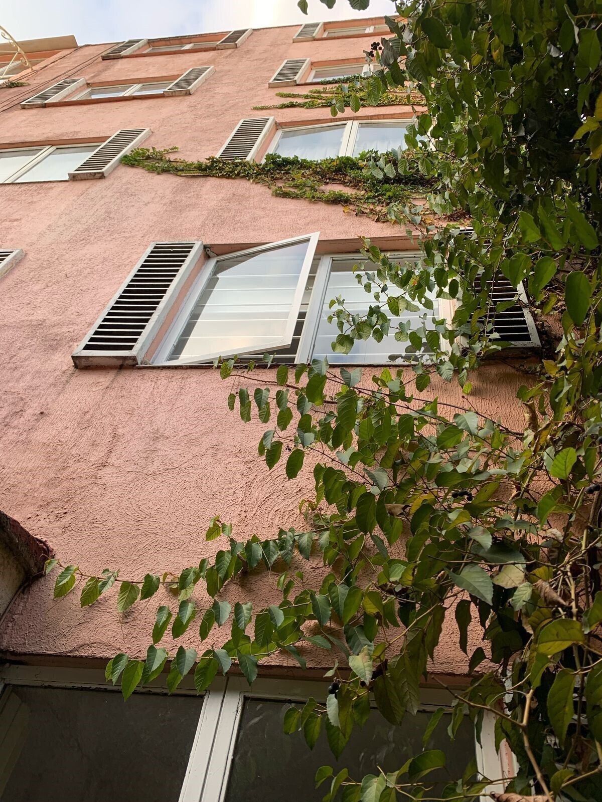 1 of 28: Edificio Habitacional en Venta en Tizapán Rayo Vende ®