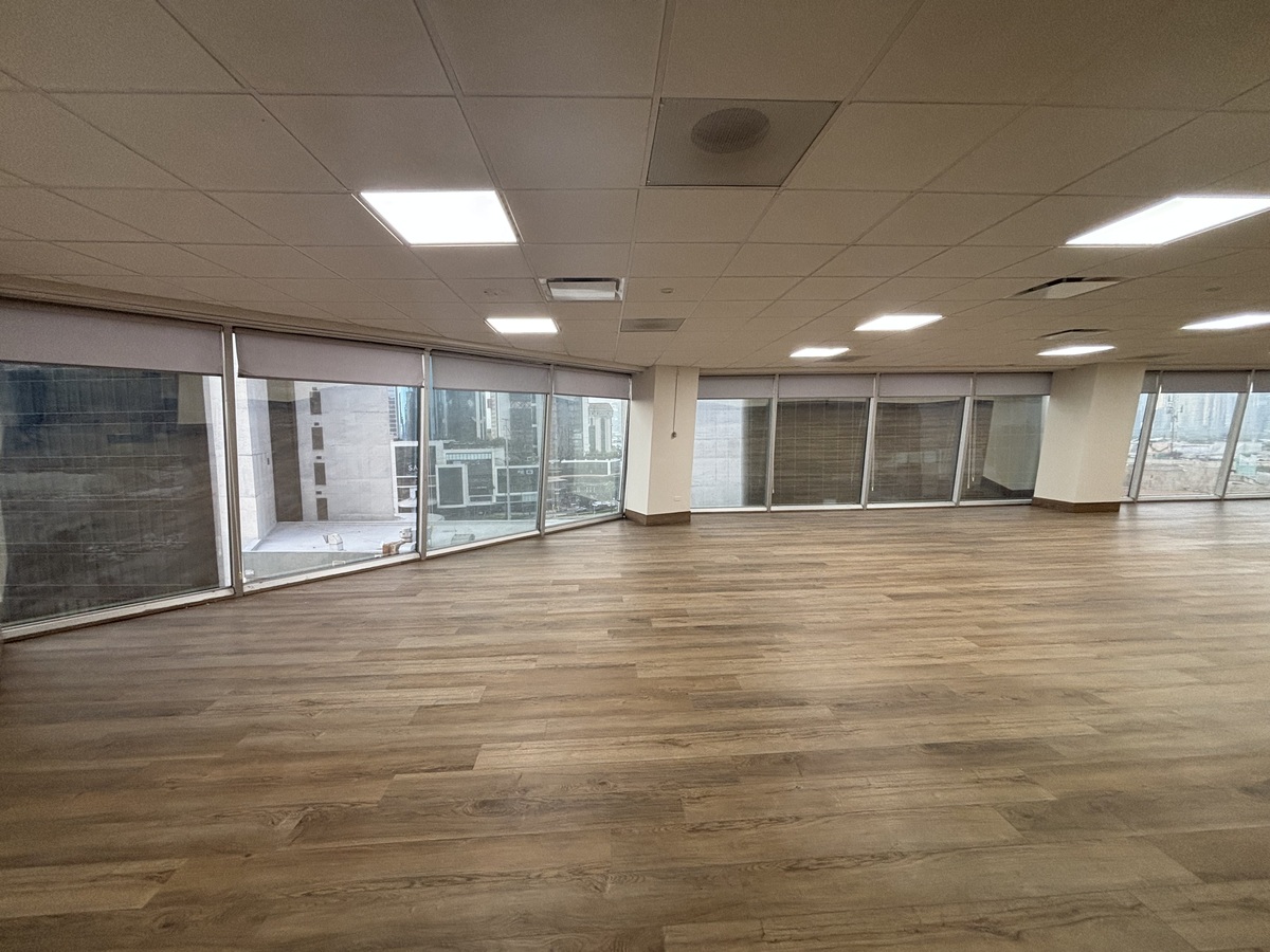 6 de 17: Area de trabajo principal