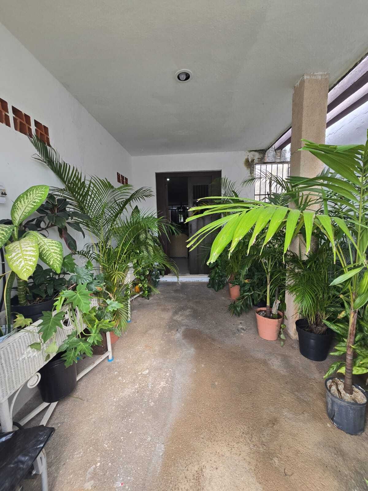 Casa en México Norte, Mérida, foto 29 de 31