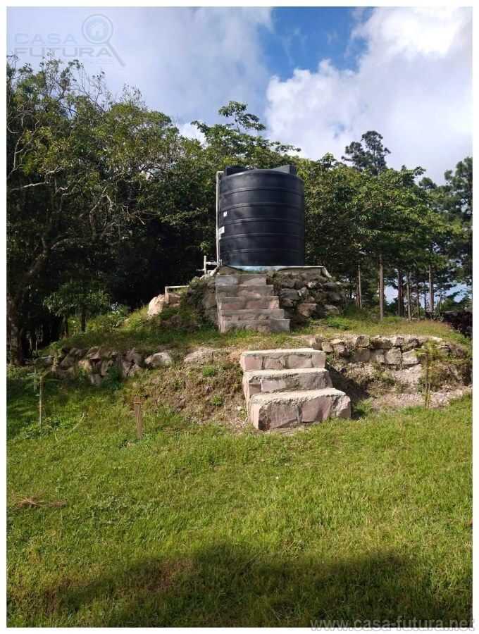 5 de 12