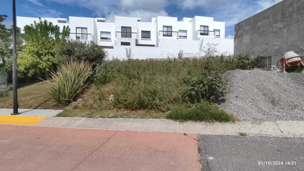 3 de 14