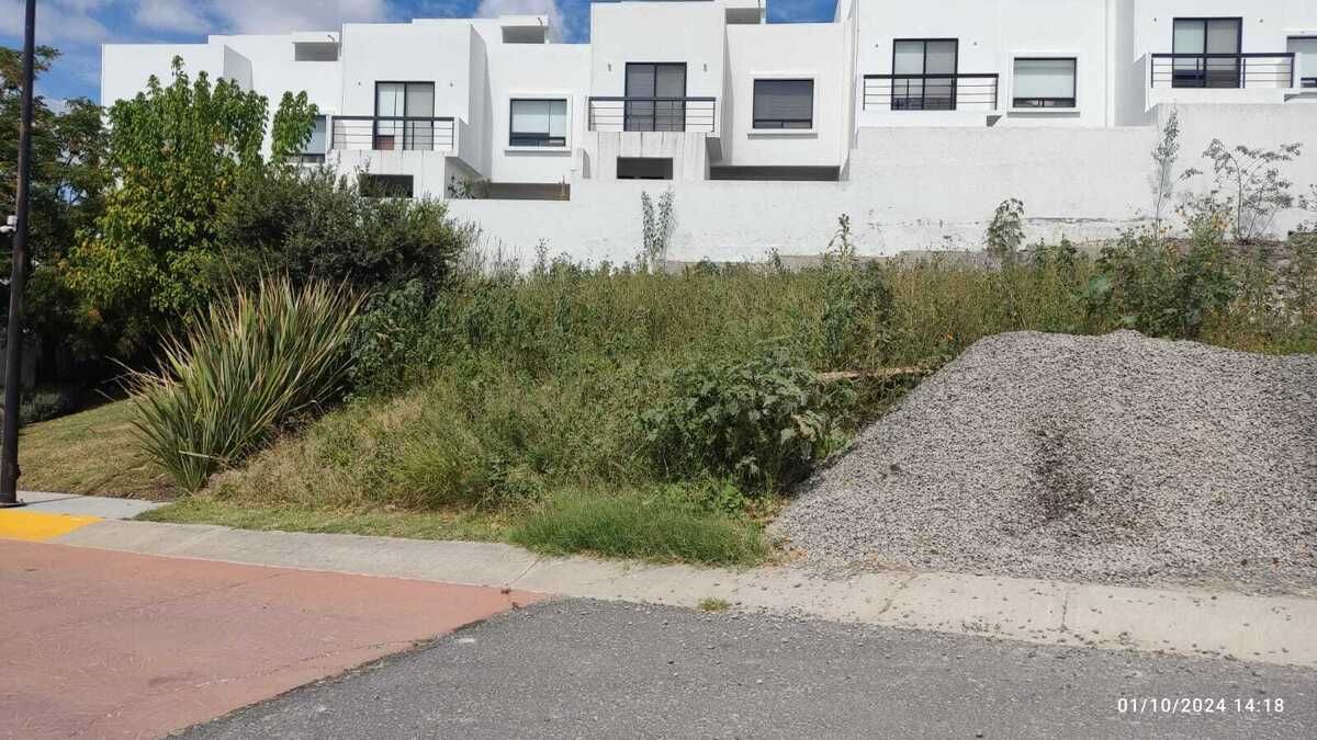 1 de 14
