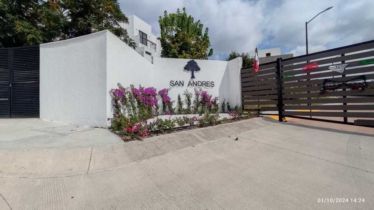 4 de 14