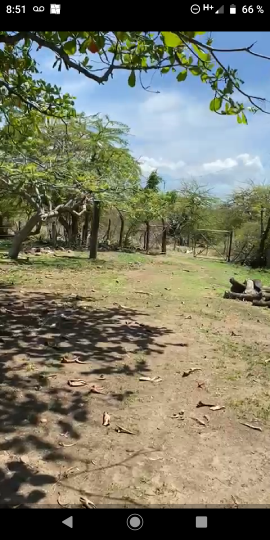 8 de 25