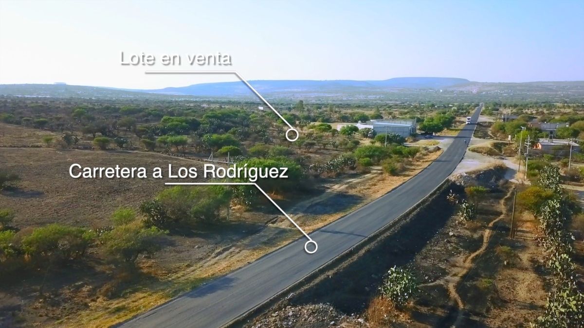 Imagen 3 de 7